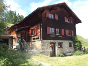 Chalet Nidus Montis Wergenstein